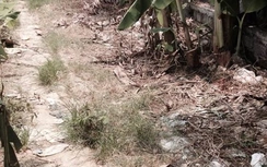 Giết người xong, tìm đến công an đầu thú