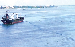 Đăng đáy cá gây nguy hiểm luồng sông Hậu