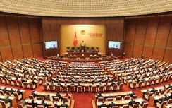 15 người do T.Ư giới thiệu không trúng cử ĐBQH