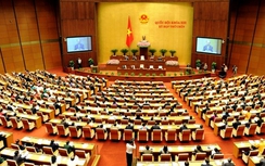 Khối Quốc hội có nhiều người… không trúng cử ĐBQH nhất