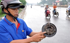 Yêu cầu xử nghiêm đối tượng rải đinh trên QL51