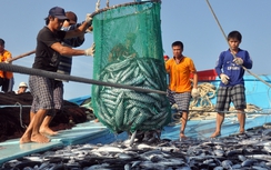 Thủ tướng: 500 triệu USD Formosa bồi thường sẽ được sử dụng minh bạch