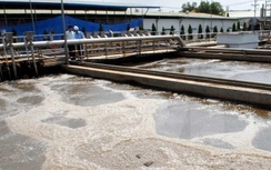 Kiên quyết từ chối các dự án không bảo đảm môi trường