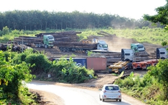 Điều tra kho gỗ lớn ở ngã ba Đông Dương