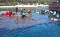 Sập bè nổi: UBND tỉnh Ninh Thuận họp khẩn