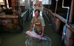Trung Quốc: Số người chết vì mưa lũ kỷ lục liên tiếp tăng
