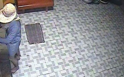 Băng trộm vàng gây chấn động ở miền Tây sa lưới