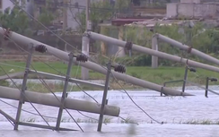 Một thợ điện tử vong khi khắc phục thiệt hại bão số 1