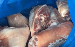 Tài xế chở chân giò bẩn hối lộ CSGT bất thành