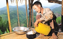 Cha con người rừng Hồ Văn Lang giờ ra sao?