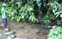 Thảm án Lào Cai: Nghi phạm ý đồ hãm hiếp nạn nhân