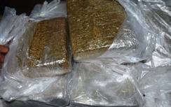 Bắt gần 30kg cần sa trong đường dây ma túy xuyên quốc gia