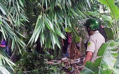 Đồng Nai: Nghi án dùng búa tạ giết người cướp của