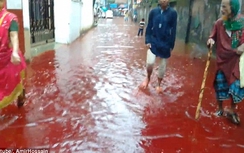 Sốc trước cảnh thủ đô của Bangladesh biến thành "dòng sông máu"