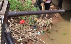 CSGT cứu người phụ nữ nhảy cầu Chương Dương tự tử