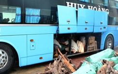 Hà Tĩnh: Bắt xe khách giường nằm chở gỗ trắc "lậu"