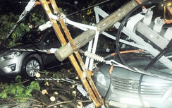 TP.HCM: Cây xanh ngã đè trụ điện gây hư hỏng 7 ô tô