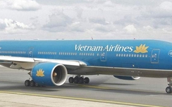 Hàng trăm khách phải chờ vì chim va vào động cơ máy bay