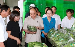 Cần nhân rộng mô hình nông nghiệp công nghệ cao VinEco