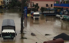 Video: Cận cảnh lũ lịch sử ở Quảng Bình