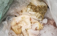 Kiểm tra xe vi phạm, phát hiện hơn 300kg nội tạng bốc mùi