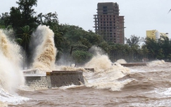 Tin bão số 7 Sarika mới nhất: Mưa lớn, gió giật trên đất liền