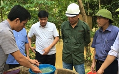 Hà Tĩnh nỗ lực phòng ngừa dịch bệnh bùng phát sau mưa lũ