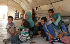 Lo Mosul thất thủ, IS lấy dân thường làm lá chắn sống
