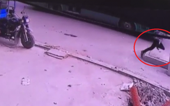 Video: Rơi xuống hố ga tử vong vì chạy theo xe buýt