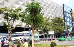 Nhà xe 5 tầng tại Tân Sơn Nhất sẽ hoạt động từ tháng 11