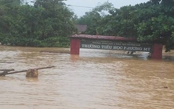 Nhiều sai phạm của thủy điện Hố Hô