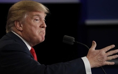 Donald Trump: Bỏ phiếu làm gì nữa, tôi thắng rồi!