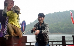 Bầu cử Mỹ: Khỉ tiên tri dự đoán Donald Trump giành thắng lợi