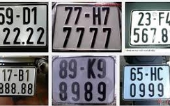 "Đấu giá biển số đẹp, sim đẹp có thể thu hàng triệu tỷ"