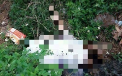 Phát hiện thi thể nữ giới ven QL37