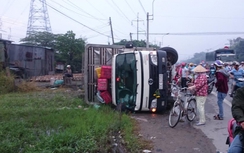 Lật xe, dân thu gom vịt chết bán hộ khổ chủ