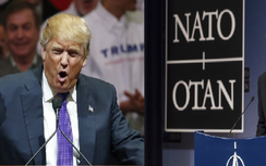Quan chức NATO điện đàm gì với Donald Trump?