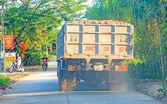 Sẽ "phạt nguội", không để xe quá tải tái bùng phát