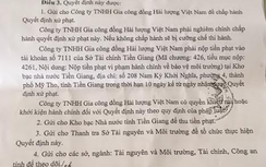 Doanh nghiệp bị phạt 480 triệu đồng vì làm ô nhiễm môi trường