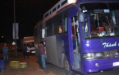 Kinh hoàng 120 con rắn hổ mang nằm chung với khách