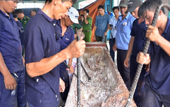 Bắt quả tang vụ buôn lậu hơn nửa tấn ngà voi