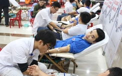 Hơn 320 cán bộ, nhân viên điện lực miền Trung hiến "máu hồng"