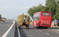 Ninh Thuận: TNGT có dấu hiệu tăng trong năm 2016