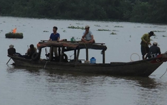 Chìm ghe trên sông Vàm Cỏ, 2 mẹ con mất tích