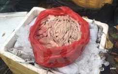 Bắt 3 xe tải sắp đổ nội tạng động vật xuống sông Đồng Nai