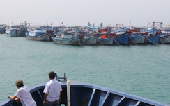 Đảo Phú Quý "khoác áo mới"