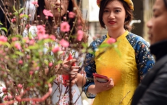 Xuân muộn ở các chợ hoa Tết Hà Nội