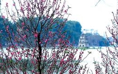 CNN: Hà Nội lọt top 15 điểm đến lý tưởng dịp Tết Nguyên đán