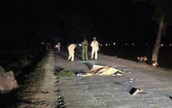 Ô tô bỏ chạy sau khi gây tai nạn, hai người tử vong