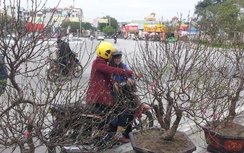 Cập nhật thời tiết Hà Nội Tết Đinh Dậu 2017 mới nhất